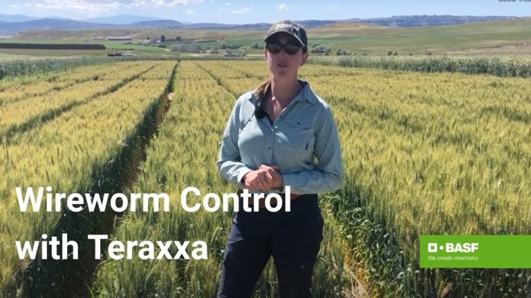 Exploring Reddy Anna ID: Features, Benefits, and Its Role in the Reddy Book Club Community